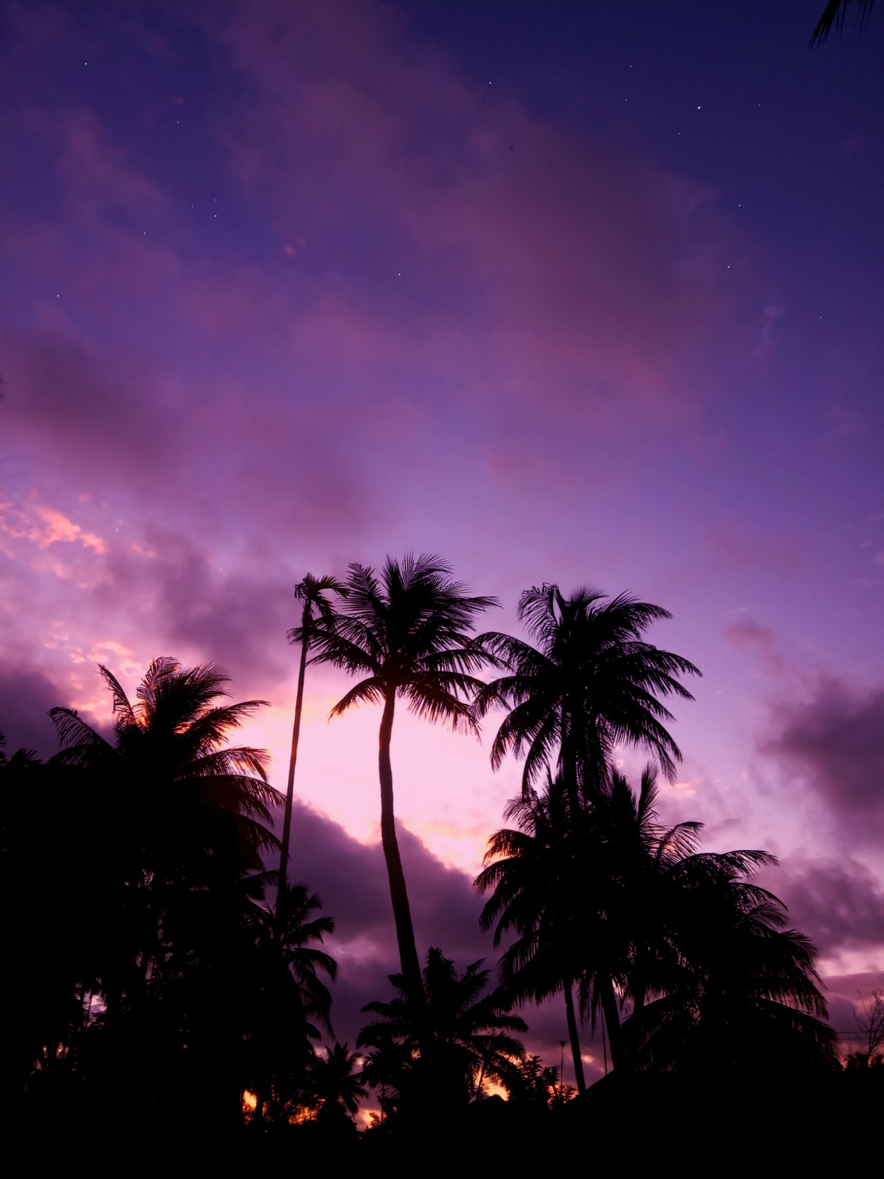 Purple sky